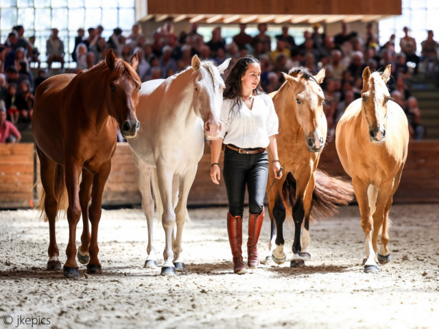 capture-d-cran-2025-11-10-173704-472